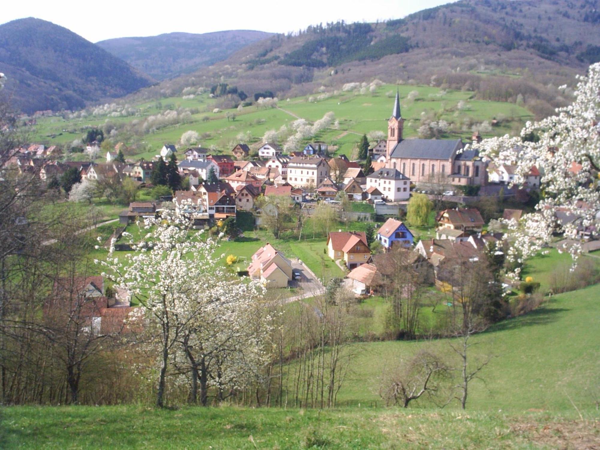 Gite Bellevue Breitenbach Екстер'єр фото